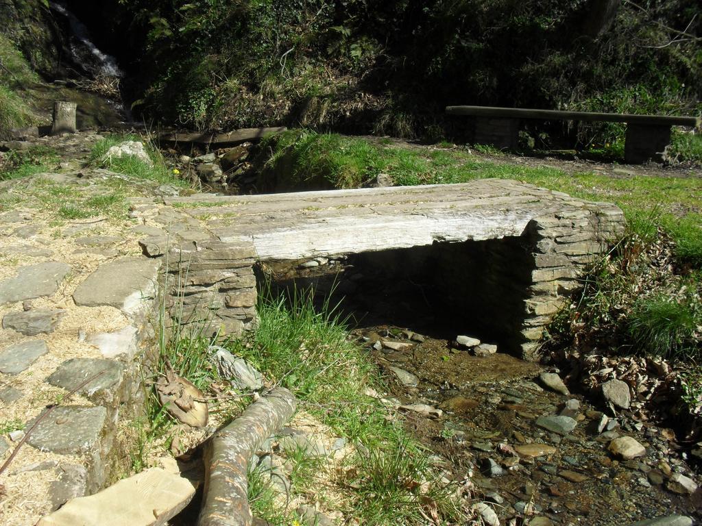 La Tineo